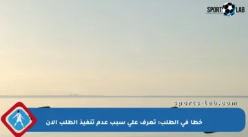 خطأ في الطلب: تعرف على سبب عدم تنفيذ الطلب الآن
